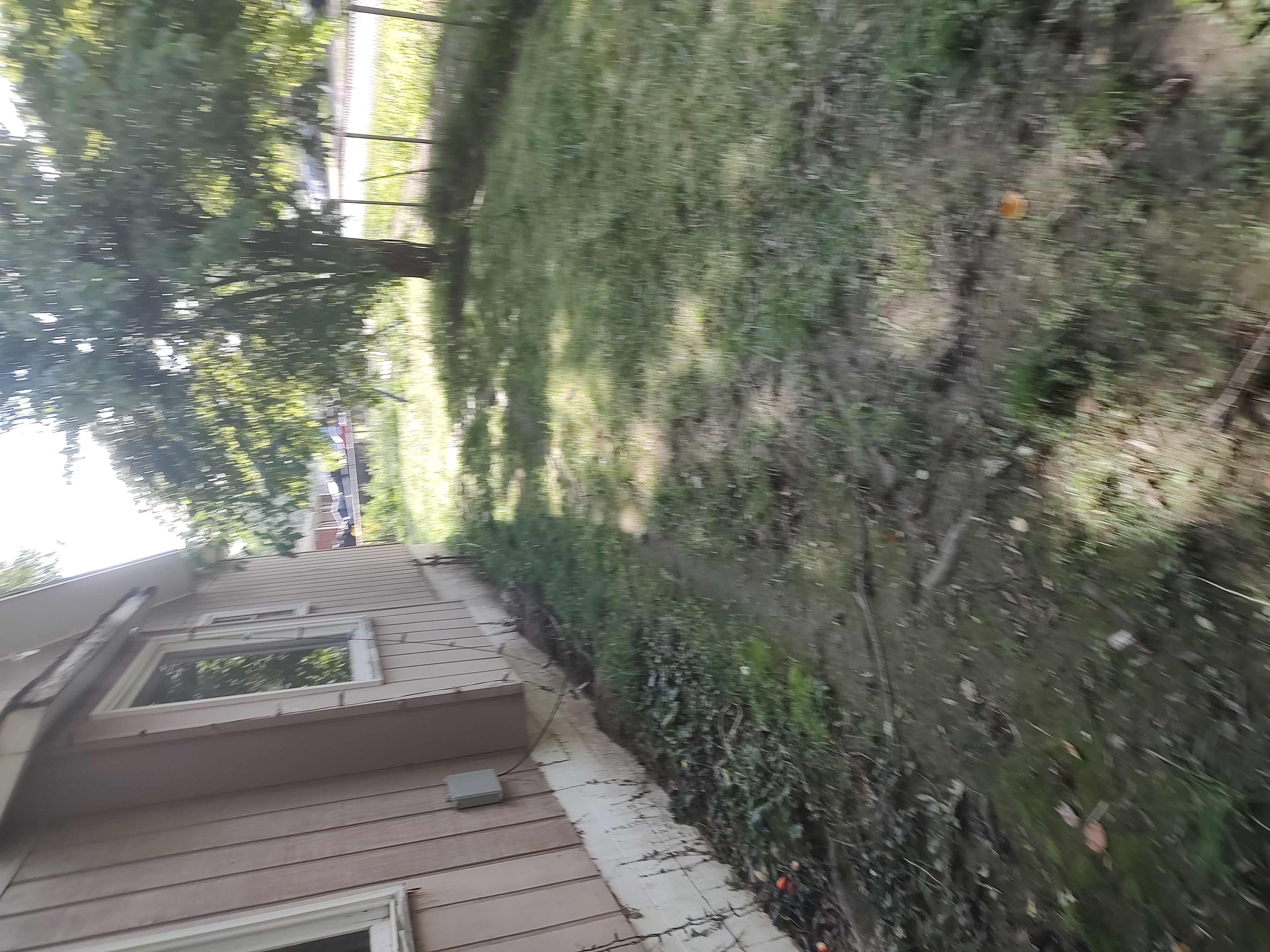 909 Fairland Street Benton IL 62812