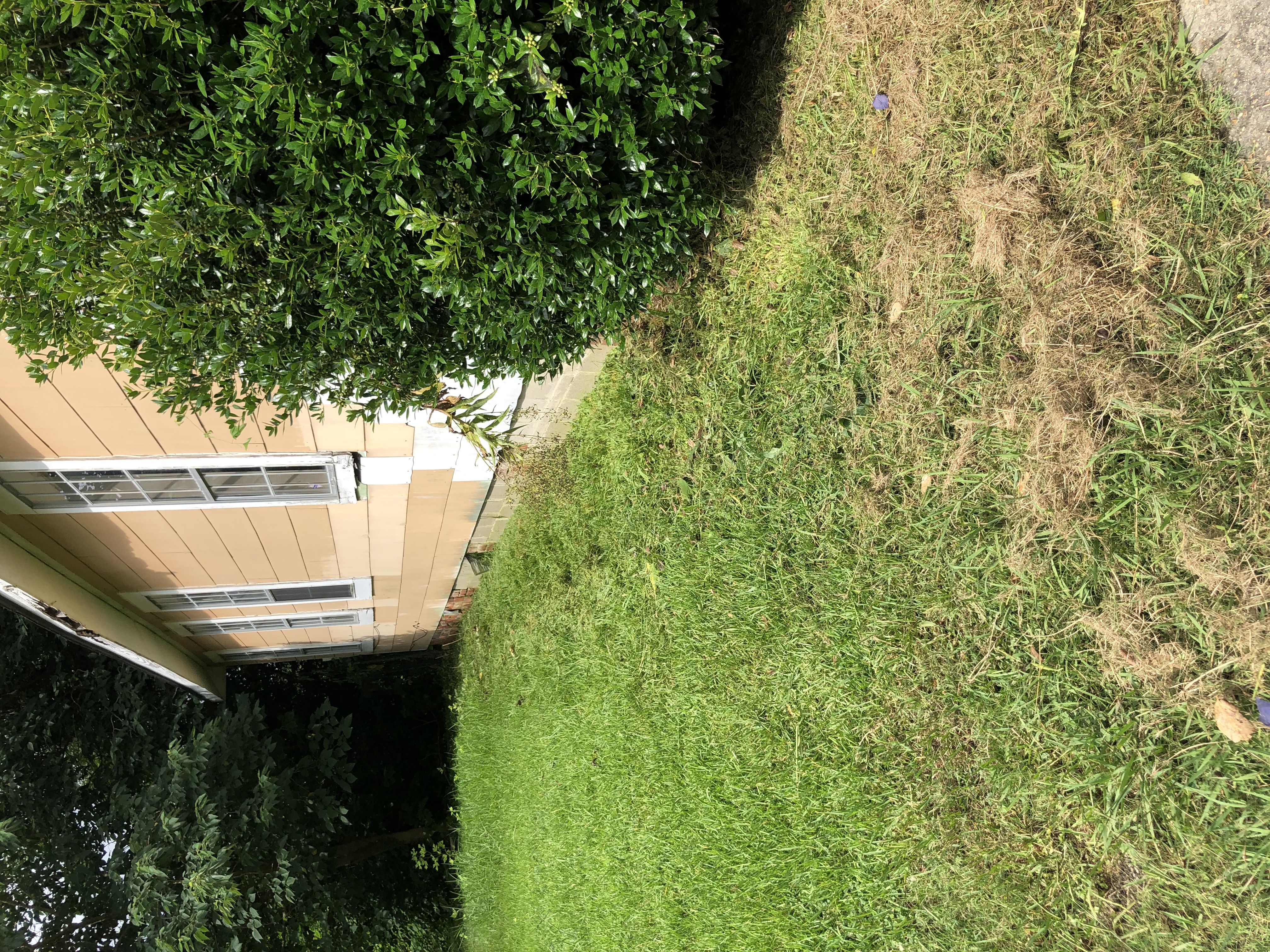 732 Thomas St Vicksburg MS 39180