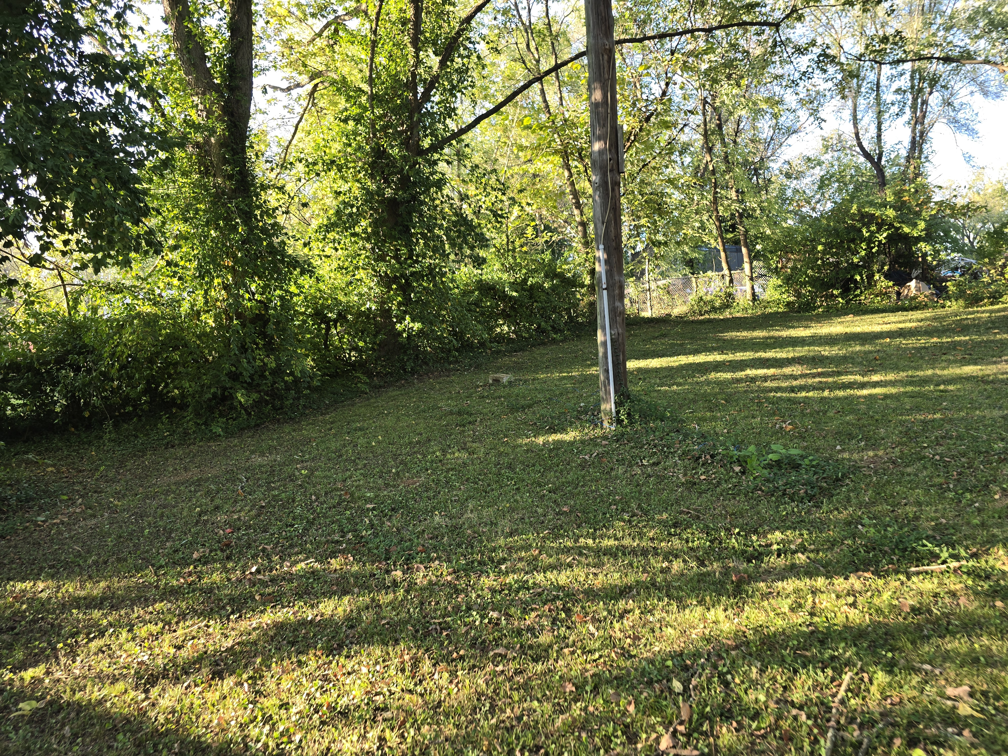 313 Station St. Leadwood MO 63653