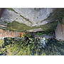 319 Dexter St, Toledo, OH 43608