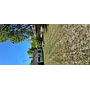 805 W Pine Ave Duncan OK 73533