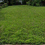48 Vincent St Dayton OH 45405