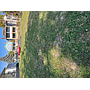 48 Vincent St Dayton OH 45405
