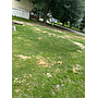 406 E 6th St, Stuttgart, AR 72160